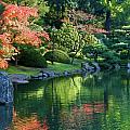 Fall Reflections Japanese Gardens