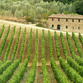 Tuscan Symmetry